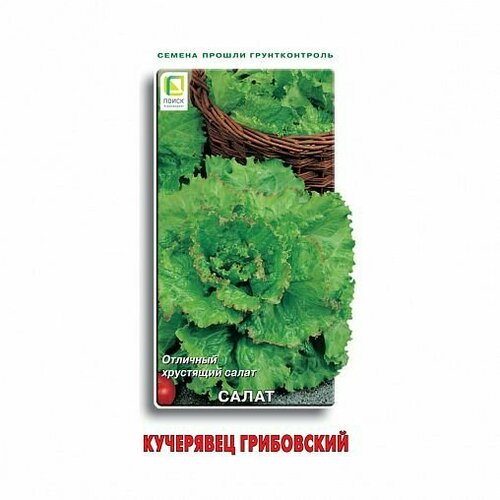 ������ ������ ������ ����� ��������� ���������� ������������ 1� (�����) ����