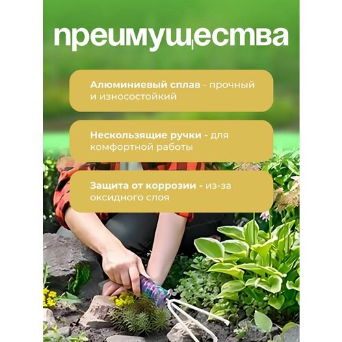 ������ ������ ����� ������� ������������ 10 � 1 ��� �������� � ������� �������� � ��������� ����� ����
