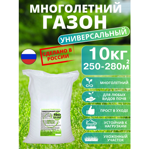 ������ ������ �������� ����� 10��, ������ ������ 10�� ����