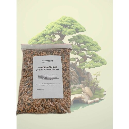 ������ ������ ����� ��� ������ ����������������� (1 �.) ����