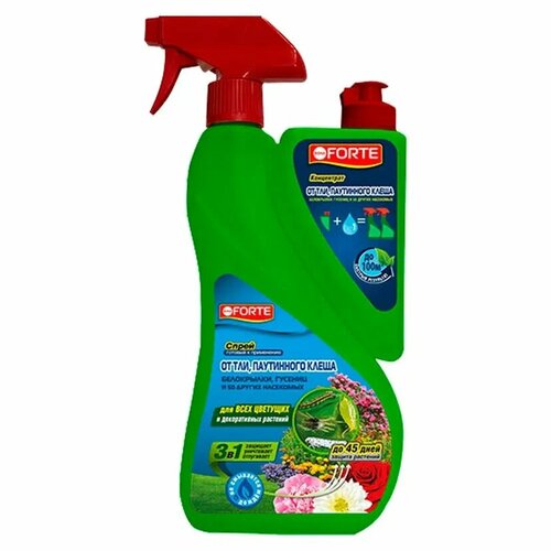 ������ ������ Bona Forte ����������+����� 250 ��. + 750 ��, �� ���, ���������� ����� � ������ ��������� ����