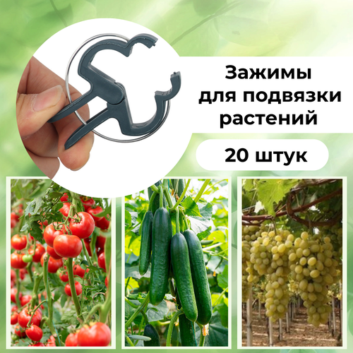 ������ ������ ����� ��������� (20��.) ��� �������� �������, �������, ��������� � ��������� �������� ����