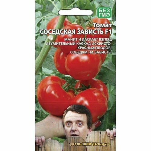 ������ ������ ������ ����� ��������� ������� F1, ������������, 12�� ����