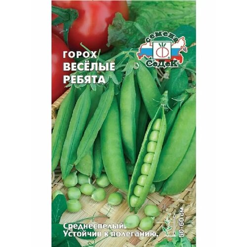 ������ ������ ����� 