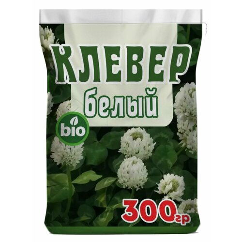 ������ ������ ������ ����� ��������, �������� ������ ������ ��������, ����� ����� ����