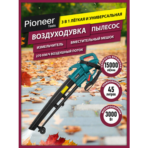 ������ ������ ������������ �������, ������� � ������������ 3�1 Pioneer EBVM-3000-01, 15000 ��/���, �������� ������ 270 ��/�, 3000 �� ����