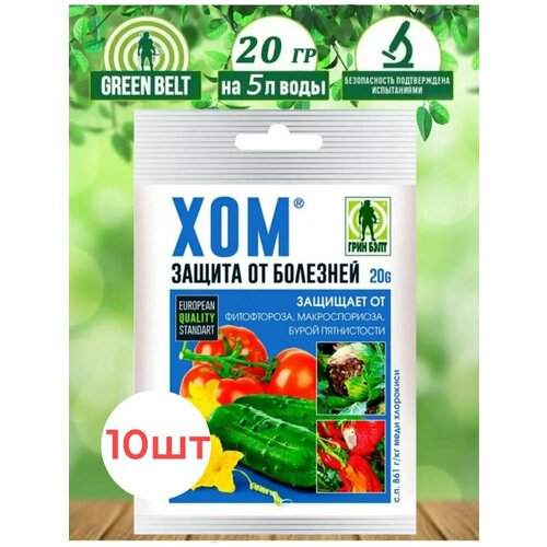 ������ ������ �������� ������ �������� ��� 10 �� ����