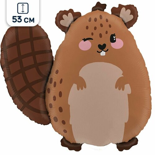 ������ ������ ��������� ��� ����� �����, 53 �� ����