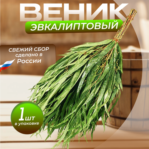 ������ ������ ����� ������������ � �������������� �������� ����