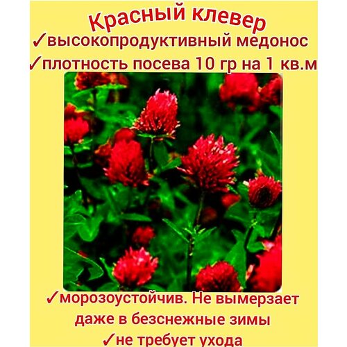 ������ ������ ������ ������� ���������� 200��, ������ �������� ��� ����/ ������/ ������ ����� ����