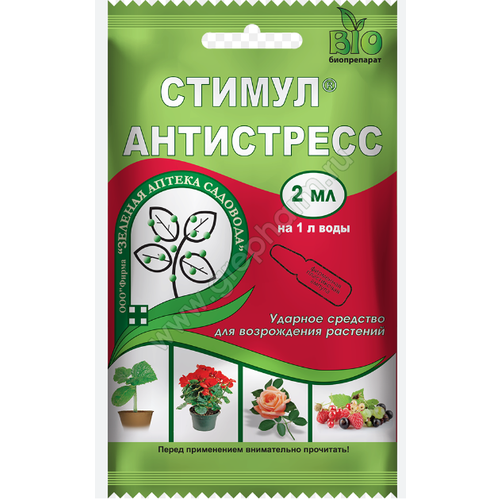 ������ ������ ��������� ������ 2 �� ����