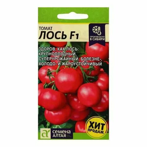 ������ ������ ������ ����� ���� F1 3 �� ������ ����� ����