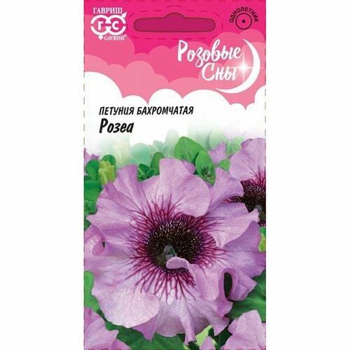 ������ ������ ������ ������� ����� �������, ����������, (������) 10�� ����