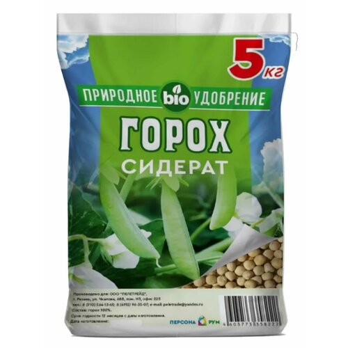 ������ ������ ����� ������ �������� ����������� 5 ��. ����