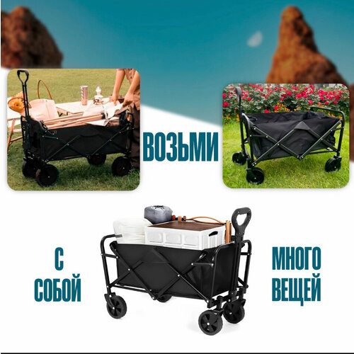 ������ ������ ������� �������� ��� �������� ����