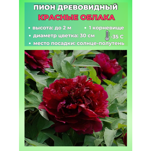 ������ ������ ���� ����������� ������� ������, ������� 1 ����� ����