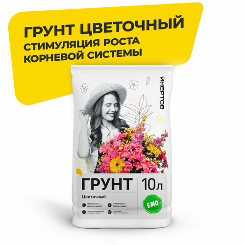 ������ ������ ����� ��������� ������� ����� ��� ������ ����