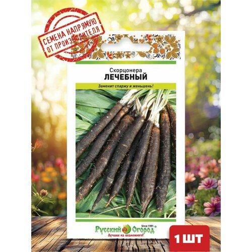 ������ ������ ��������� �������� ����