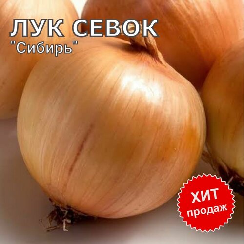 ������ ������ ��� ����� ������ �� ������� 