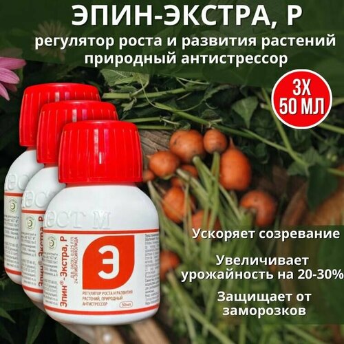 ������ ������ ����-������ ��������� ����� � �������� ��������, ��������� ������������ 50 ��, 3 �� ����