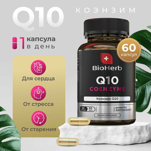 ������ ������ BioHerb ��� ������� Q10, �������� ��� ������� � ���������, 60 ������ ����