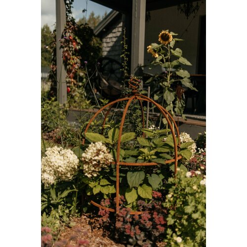 ������ ������ ����� ������ ��� �������� ������ � ��� ����