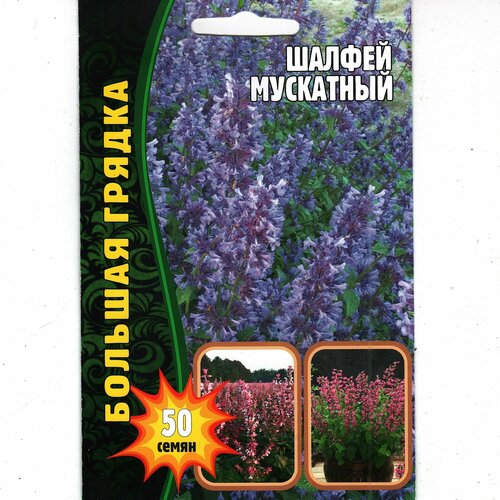 ������ ������ ������ ���������, ����������� ( 1 ��: 50 ����� ) ����