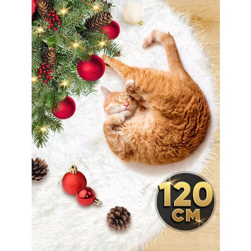 ������ ������ ������ ��� ���� ���������� ���� ��� ���� �����, 120 �� ����