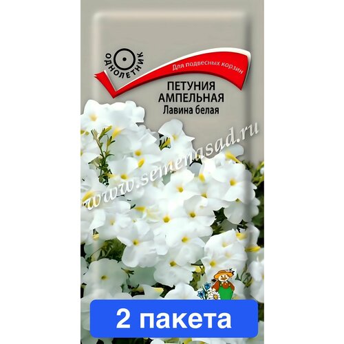 ������ ������ ����� ������� ��������� ������ ����� F1 ����� 2 ������ ����