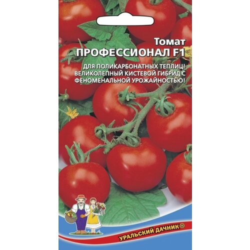 ������ ������ ������ ����� ������������ F1 12�� ����� ������ (��������� ������) ����