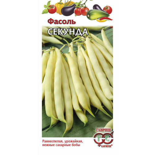 ������ ������ ������ ������ ������� �������� ������ 5� ������ (������) ����