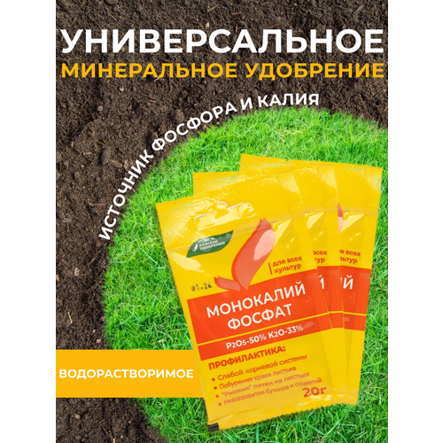 ������ ������ ���������� ����� 20� 3�� ����