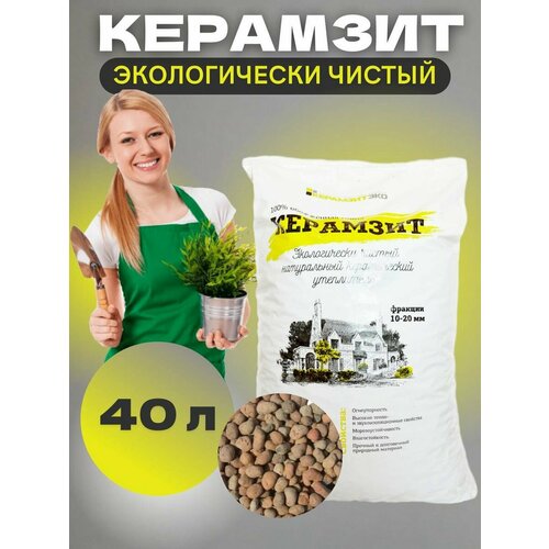 ������ ������ ����� ��� �������� �������� 40� ����