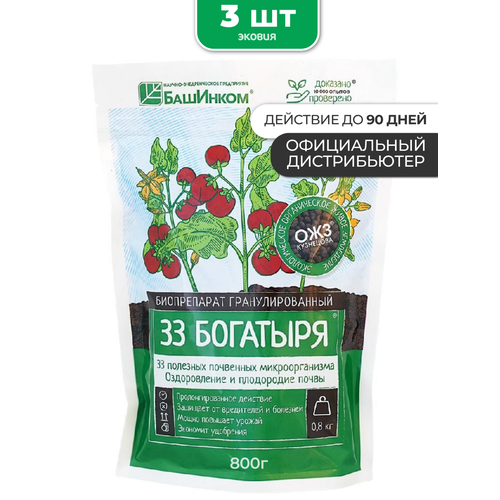 ������ ������ ��������� 33 �������� � �������� 3 �� ����