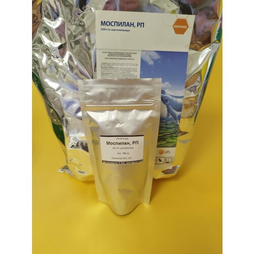 ������ ������ ���������� �������� 100 �� ����