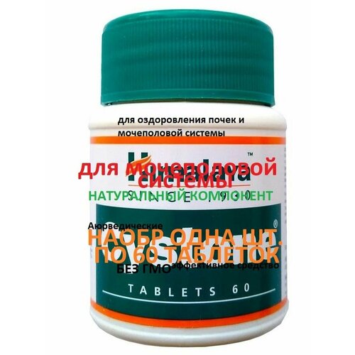 ������ ������ �������� Cystontab ������60��� ����