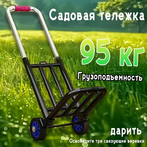 ������ ������ ������� ������� ����