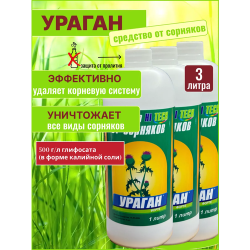 ������ ������ ������ �������� �� �������� �������� ����