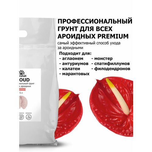 ������ ������ ���������� Pr�mium ��� ���������, ������������ � ������ �������� 5 � ����