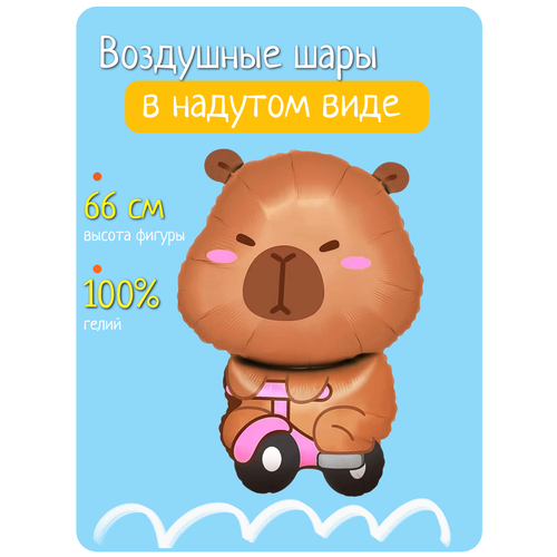 ������ ������ ��������� ��� � ������ �� ���� ��������, �������������� ��� ������ �������� �� ���������� ����