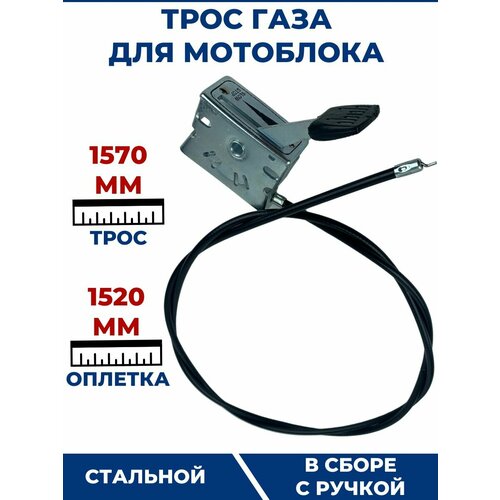 ������ ������ ���� ���� ��� ��������� 1520 ��, � ����� � ������ ����