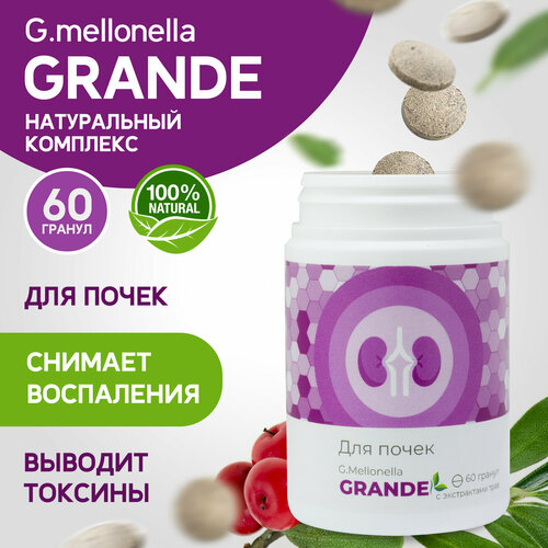 ������ ������ ������� ����� - ��� �����, ������������� �������, ��������� ����� � ������, �� ������ 60 ������. ����