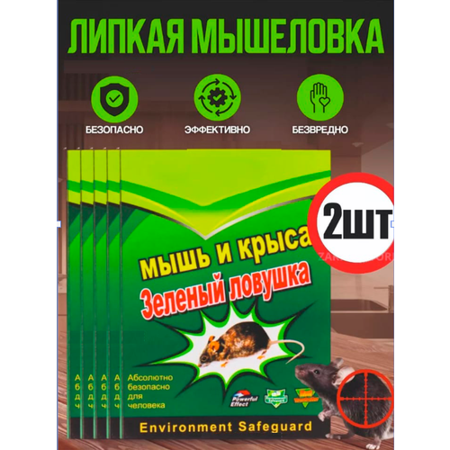 ������ ������ ��������� ������ ��� �����, ������� ��� ���� � �����, 2 ���� ����