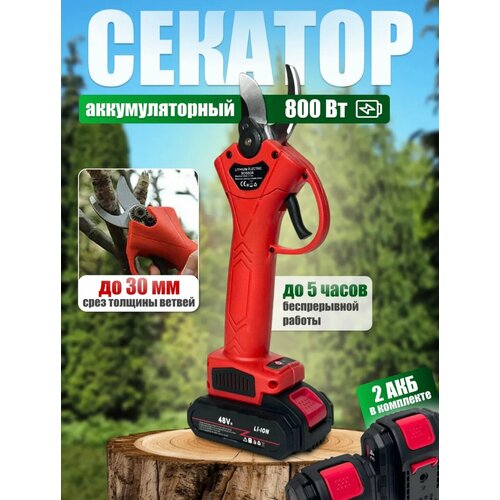 ������ ������ ������������� ������������ �������, � ����� �������������� � ������, ������� ������� �������������� ����
