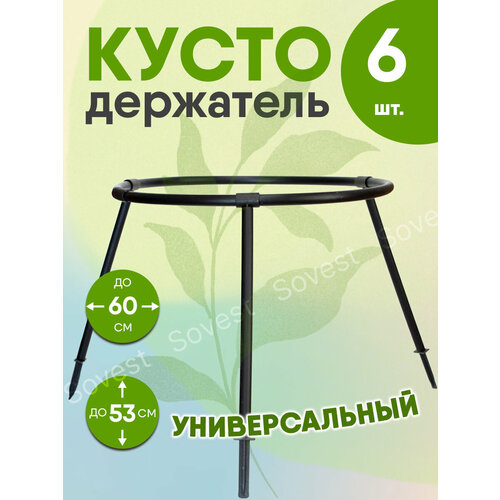 ������ ������ �������������� ��������-����, ������������� D60 H53, �������, ������, ���������, 6 ��. ����