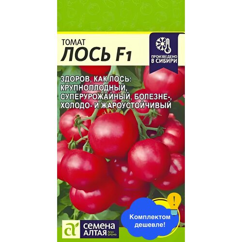 ������ ������ ������ ������ ������ ����� 