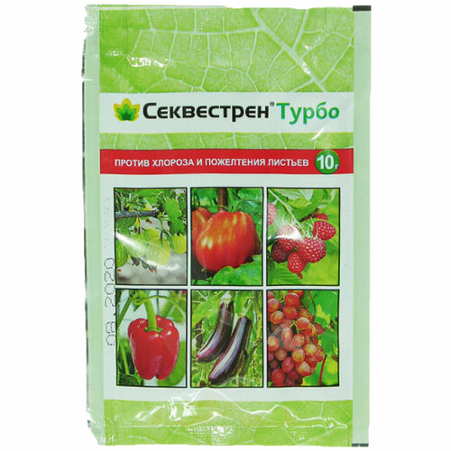 ������ ������ ���������� �����, �������� ������ ������� � ���������� �������, 10 � ����