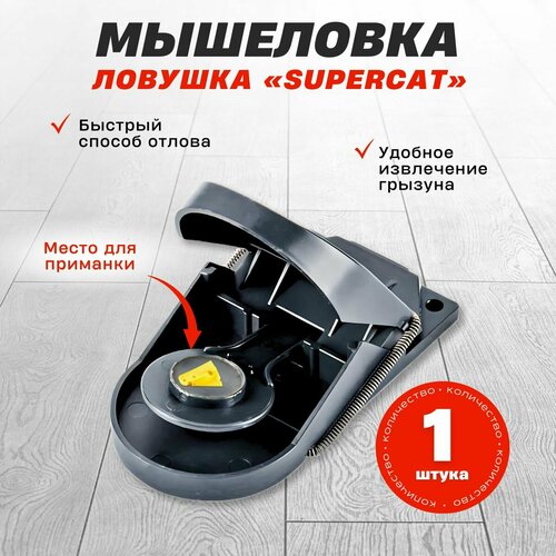 ������ ������ ����������� ��������� SuperCat, 1 ��. ����