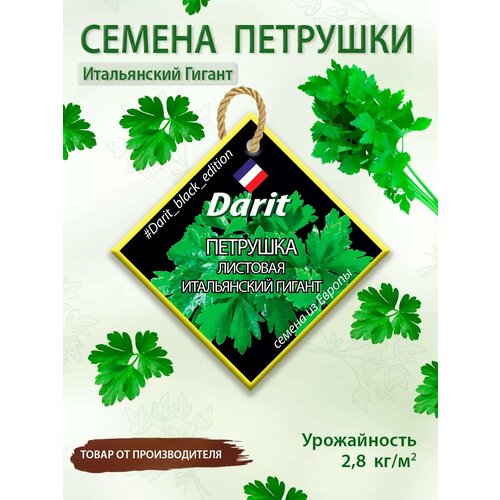 ������ ������ ������ �������� ����������� ������ Darit Black Edition 6 � ����