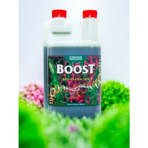 ������ ������ ��������� - ���������� CANNABOOST Accelerator 1 � ����